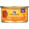 WELLNESS: Complete Health Pate Chicken Entree Cat Food, 3 oz